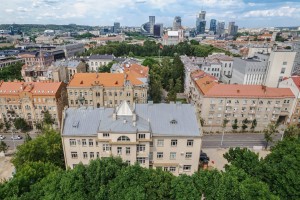 Premises at Pamenkalnio Street, Vilnius III