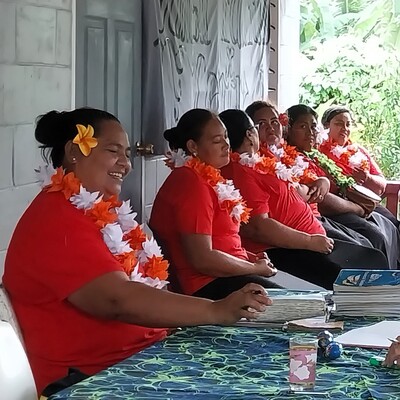 Поддержка предпринимателей на Самоа: Инвестируйте в SPBD Samoa 4 для устойчивого роста