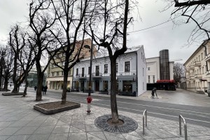 Hotel on Laisvės Avenue IX