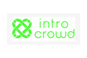 IntroCrowd